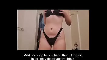Tabboo mouse in pussy