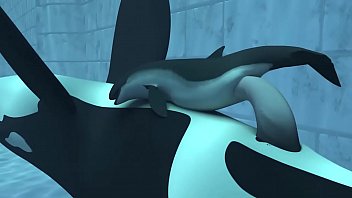 Orca yiff - EvilSecret №3